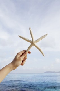 United States Virgin Islands, St. John, Starfish held by female hand. 
Photo: Winslow Productions