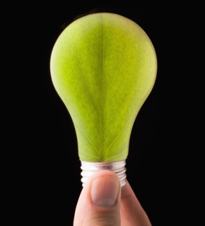 Close-up of light bulb with floral pattern. 
Photo : Mike Kemp