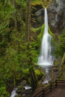 USA, Washington, Olympic National Park, Marymere Falls. 
Photo: Gary Weathers