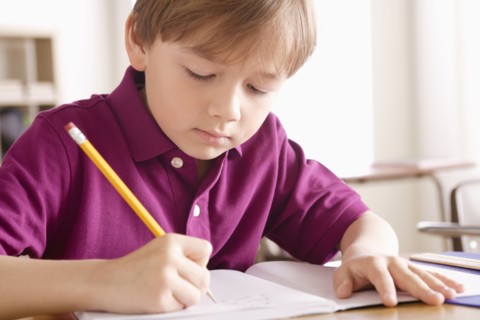 Schoolboy writing in notebook. 
Photo: Rob Lewine