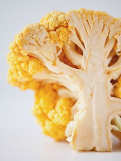 Yellow cauliflower on white background. 
Photo: Jessica Peterson