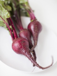 Beetroots on plate, studio shot. 
Photo : Jessica Peterson