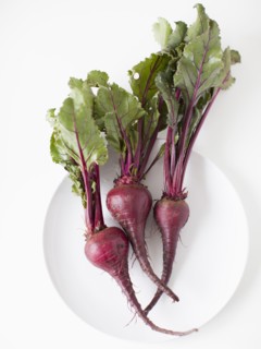 Beetroots on plate, studio shot. 
Photo : Jessica Peterson