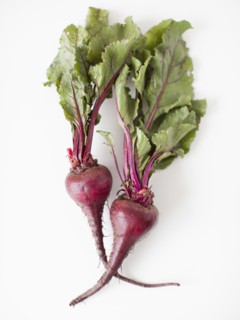 Beetroots on white background, studio shot. 
Photo : Jessica Peterson