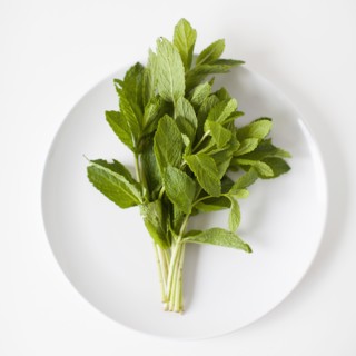 Bunch of mint on plate, studio shot. 
Photo : Jessica Peterson