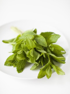 Bunch of mint on plate, studio shot. 
Photo : Jessica Peterson