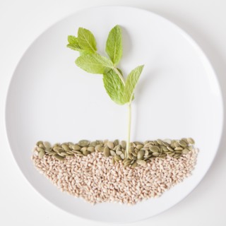 Landscape on plate made out of food, studio shot. 
Photo : Jessica Peterson