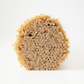 Bunch of dried spaghetti, close-up. 
Photo : Jessica Peterson