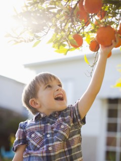 Happy young boy (6-7) reaching for fresh orange. 
Photo : Jessica Peterson