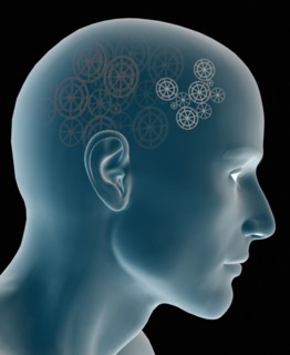 Conceptual image of human brain. 
Photo : Calysta Images
