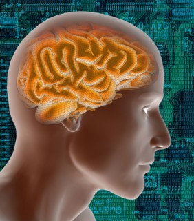 Conceptual image of human brain. 
Photo : Calysta Images