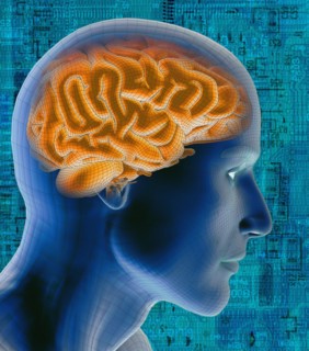 Conceptual image of human brain. 
Photo : Calysta Images