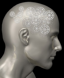 Conceptual image of human brain. 
Photo : Calysta Images