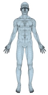 Conceptual image of trans-sexual human body. 
Photo : Calysta Images