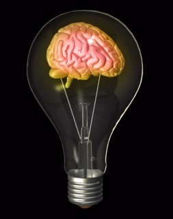 Conceptual image of "light bulb" containing human brain. 
Photo : Calysta Images