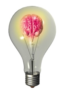 Conceptual image of "light bulb" containing human brain. 
Photo : Calysta Images