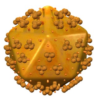 Conceptual image showing human body cell. 
Photo : Calysta Images