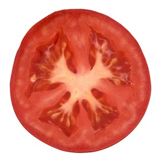 Half of tomato on white background. 
Photo : Calysta Images