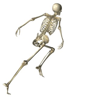 Digitally generated image of running human skeleton. 
Photo : Calysta Images