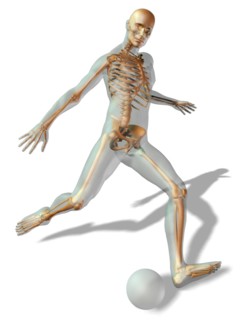 Digitally generated image of human representation playing soccer ball with human skeleton visible.