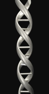 Digitally generated image of helix structure. 
Photo: Calysta Images