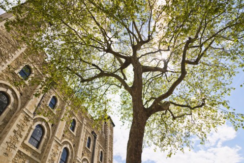 UK, London, Tower of London.