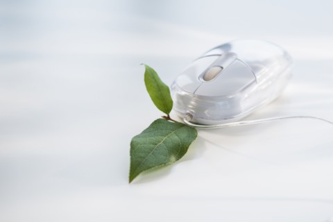 Studio shot of computer mouse with green leaf.