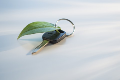 Studio shot of car key with ring and green leaf.