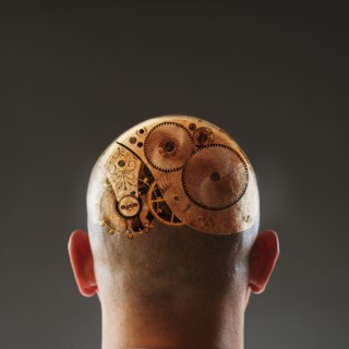 Back view of man with gears in shaved head.