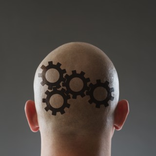Studio shot of man's shaved head.