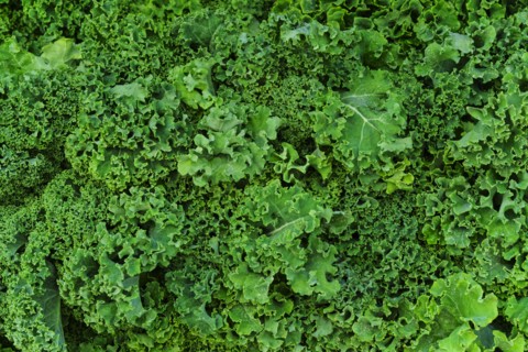 Fresh kale.