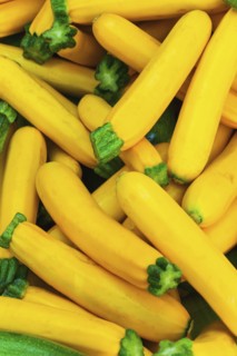 Yellow squash.