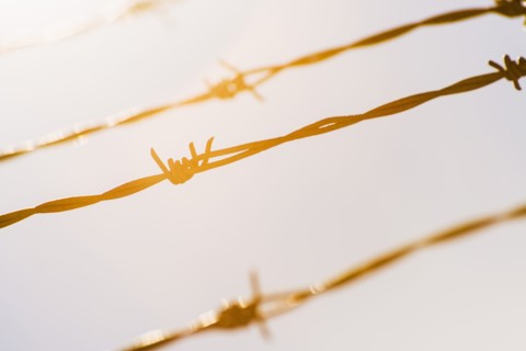 Barbed wire in bright sunshine.