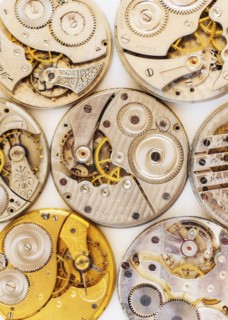 Variety of watches striped to parts.