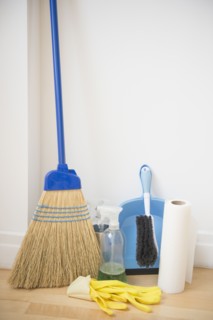 Cleaning equipment at home. Photo : Jamie Grill