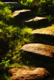 Stone steps in morning light. Photo : Daniel Grill