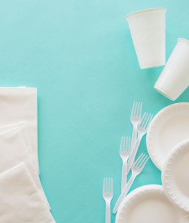 Disposable plates, forks and cups. Photo : Daniel Grill