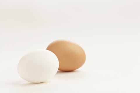 Studio shot of eggs. Photo: Sarah M. Golonka