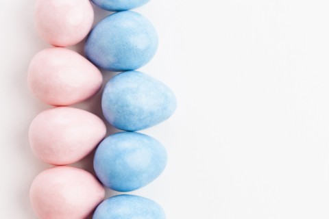 Studio shot of colorful eggs. Photo: Sarah M. Golonka