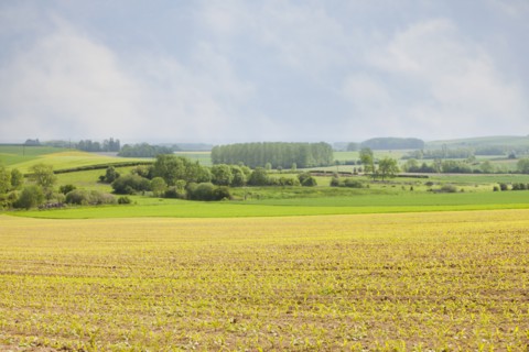 France, Rocroi, Rural landscape. Photo : Mike Kemp