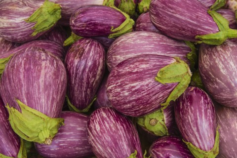 Heap of eggplants.