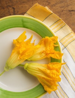 Zucchini blossoms on plate, studio shot.
