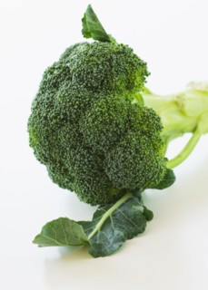 Broccoli on white background, studio shot.