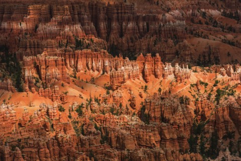 Bryce Canyon.