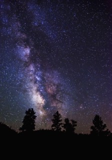 Milky Way and silhouetted trees.