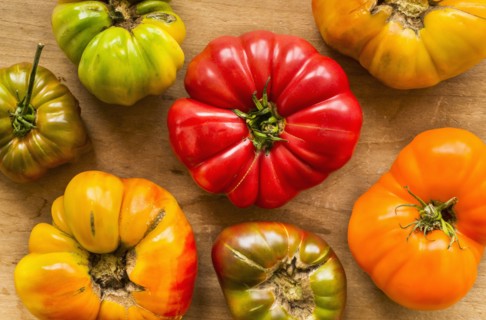 Heirloom tomatoes.