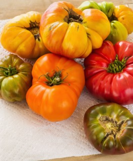 Heirloom tomatoes on paper towel.