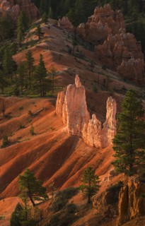 Bryce Amphitheater.