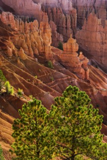 Bryce Amphitheater.