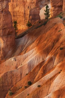 Rock formations at sunset.